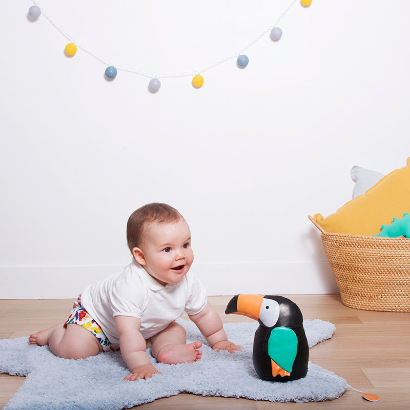 Ζαν το τουκάν