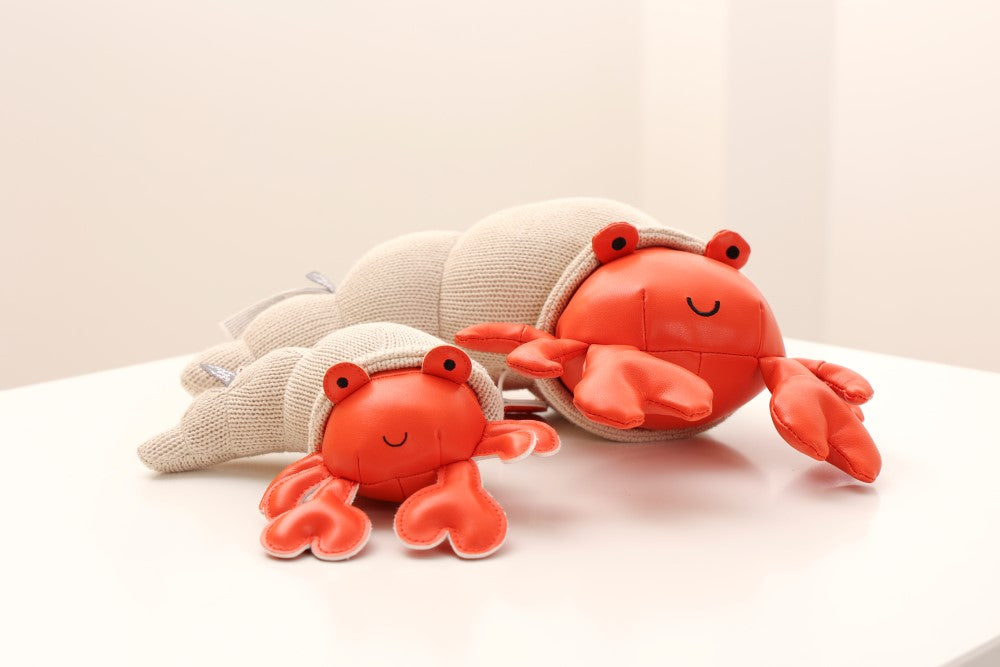 TINY FRIENDS - Brigitte the Hermit Crab