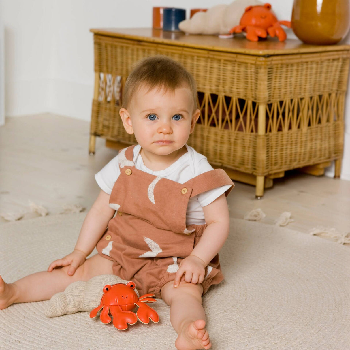 TINY FRIENDS - Brigitte the Hermit Crab