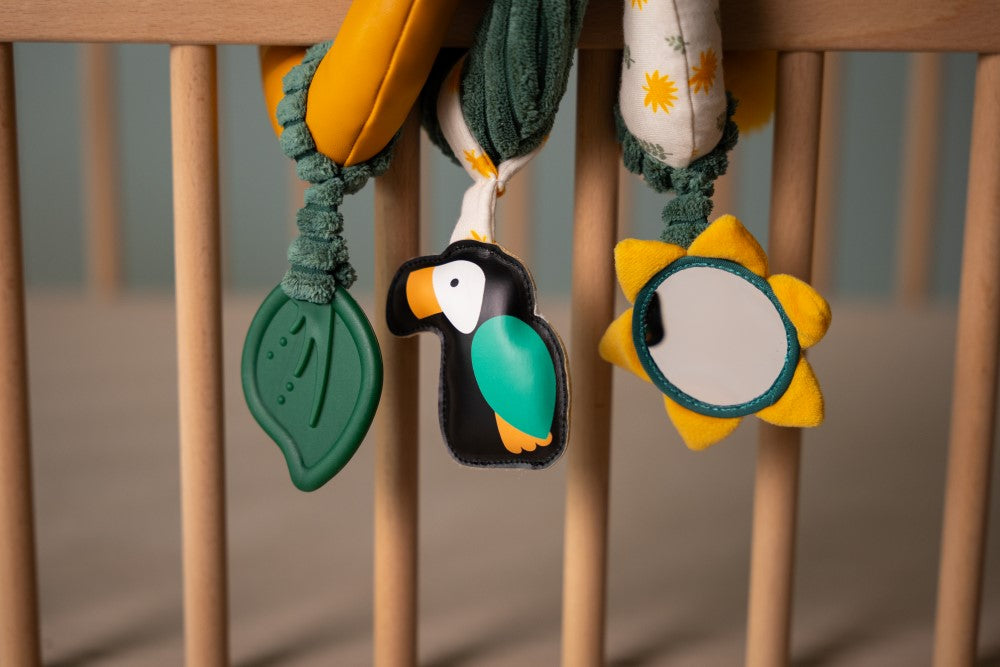 Activity Spiral Jungle