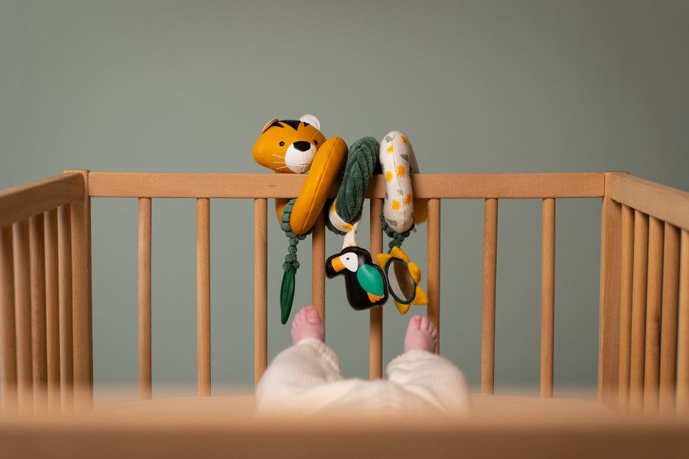 Activity Spiral Jungle