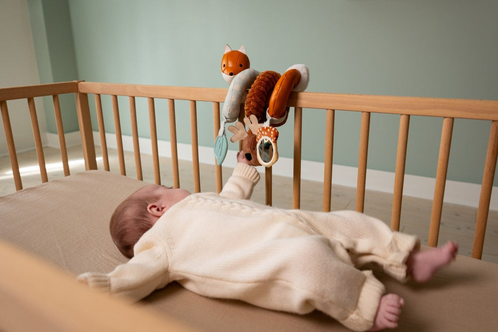 Activity Spiral Forest