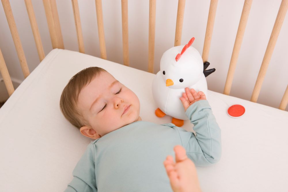 Πολέτ, η Κοτούλα