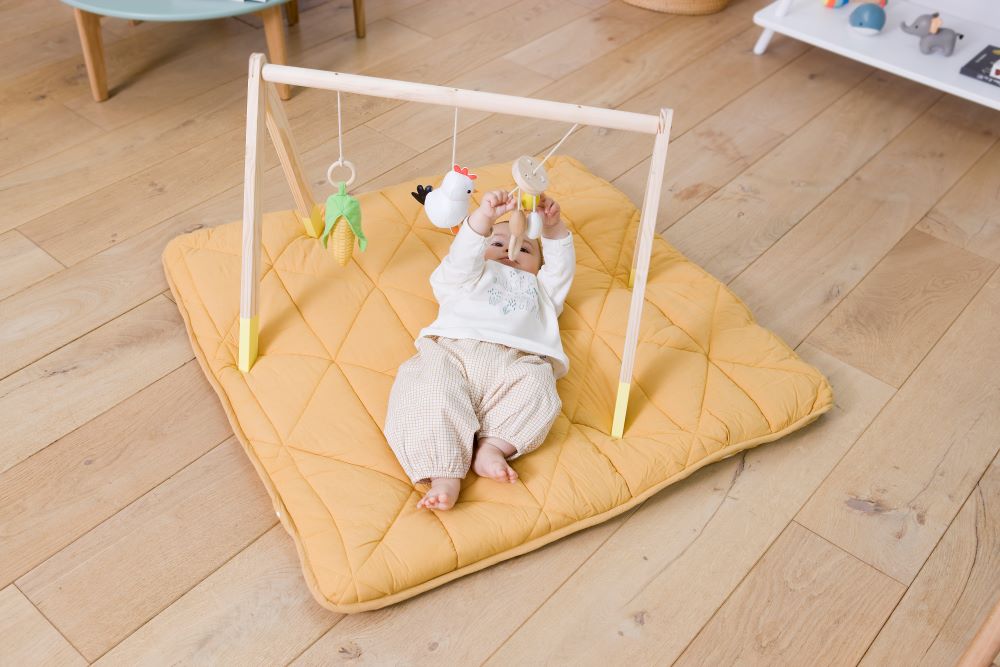 Ξύλινο Γυμναστήριο Farm