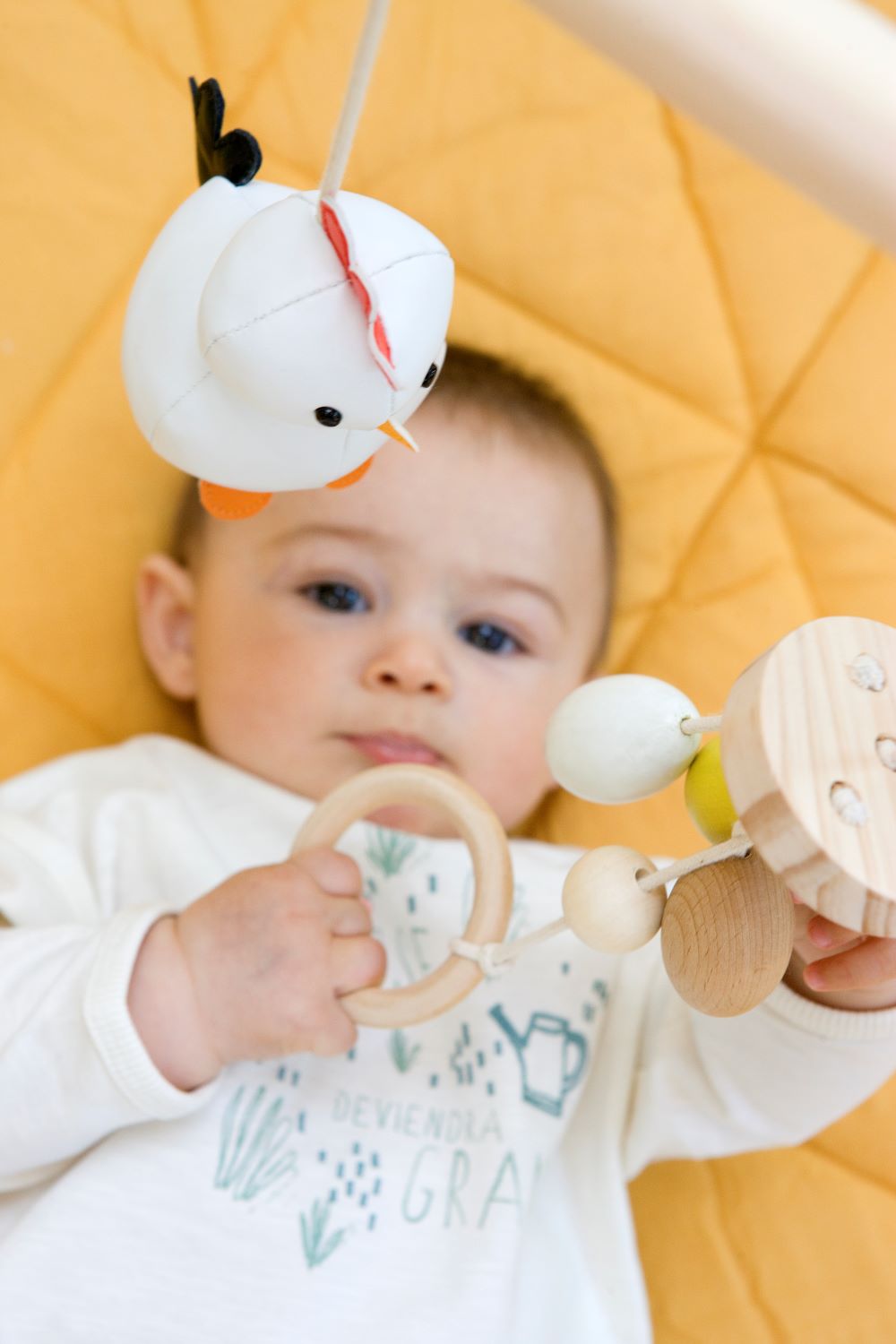 Ξύλινο Γυμναστήριο Farm