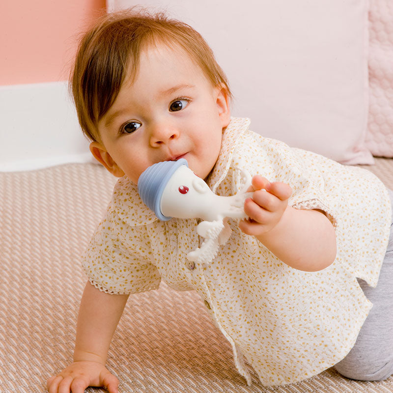 3D Χταπόδι Μασητικό