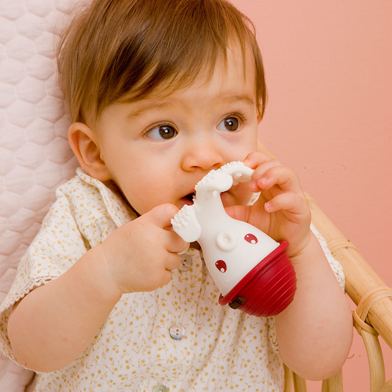 3D Χταπόδι Μασητικό