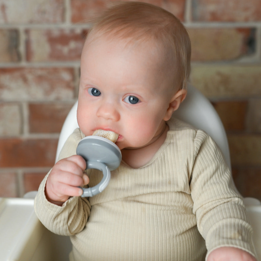 Δίχτυ Δοκιμής Φρέσκου Φαγητού Γκρι Γατούλα