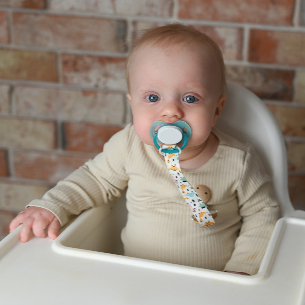 Κλιπ Πιπίλας Δεινοσαυράκια