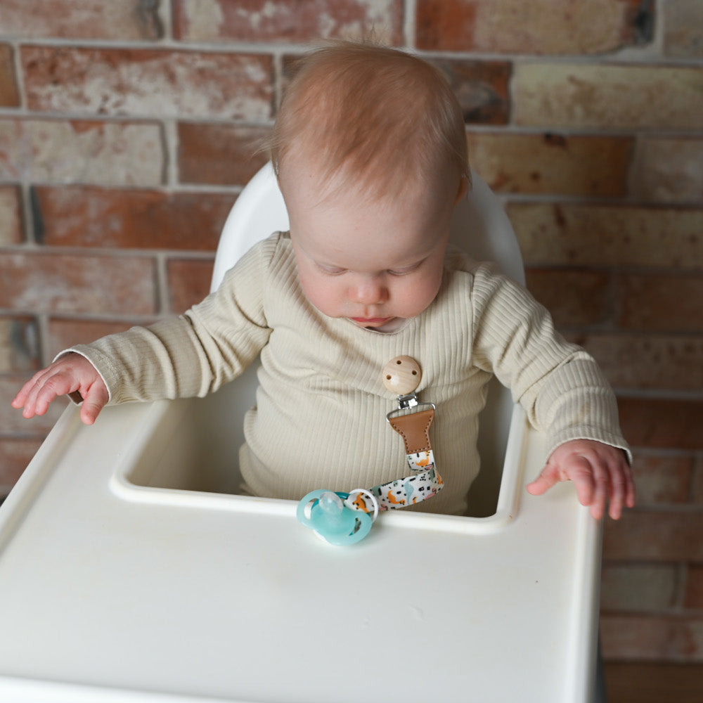 Κλιπ Πιπίλας Δεινοσαυράκια