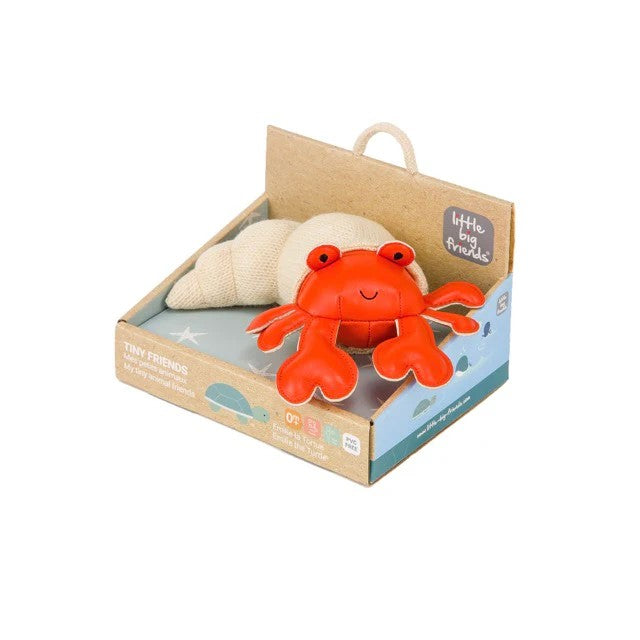 TINY FRIENDS - Brigitte the Hermit Crab