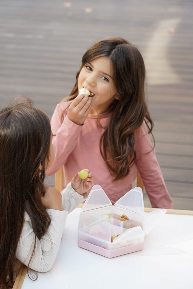 Melii – Snackle Box Hexagon Mint