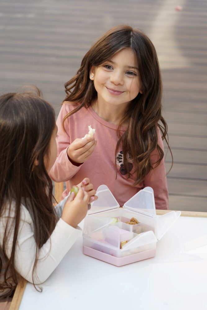 Melii – Snackle Box Hexagon Pink