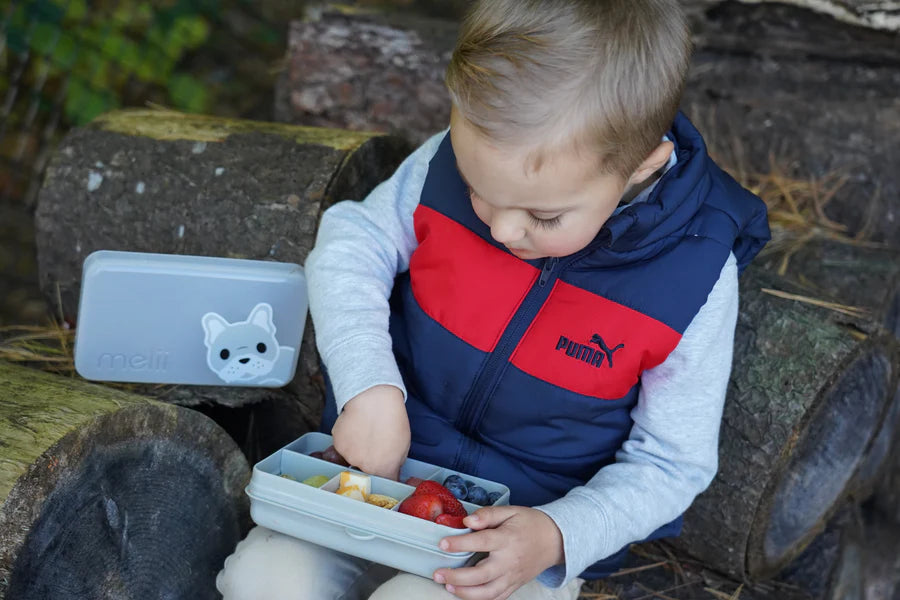 Melii – Snackle Box Mini Bulldog