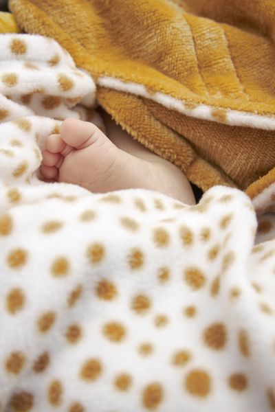 Meyco Fleece Wrap Για Το Κάθισμα Αυτοκινήτου Cheetah Honey Gold