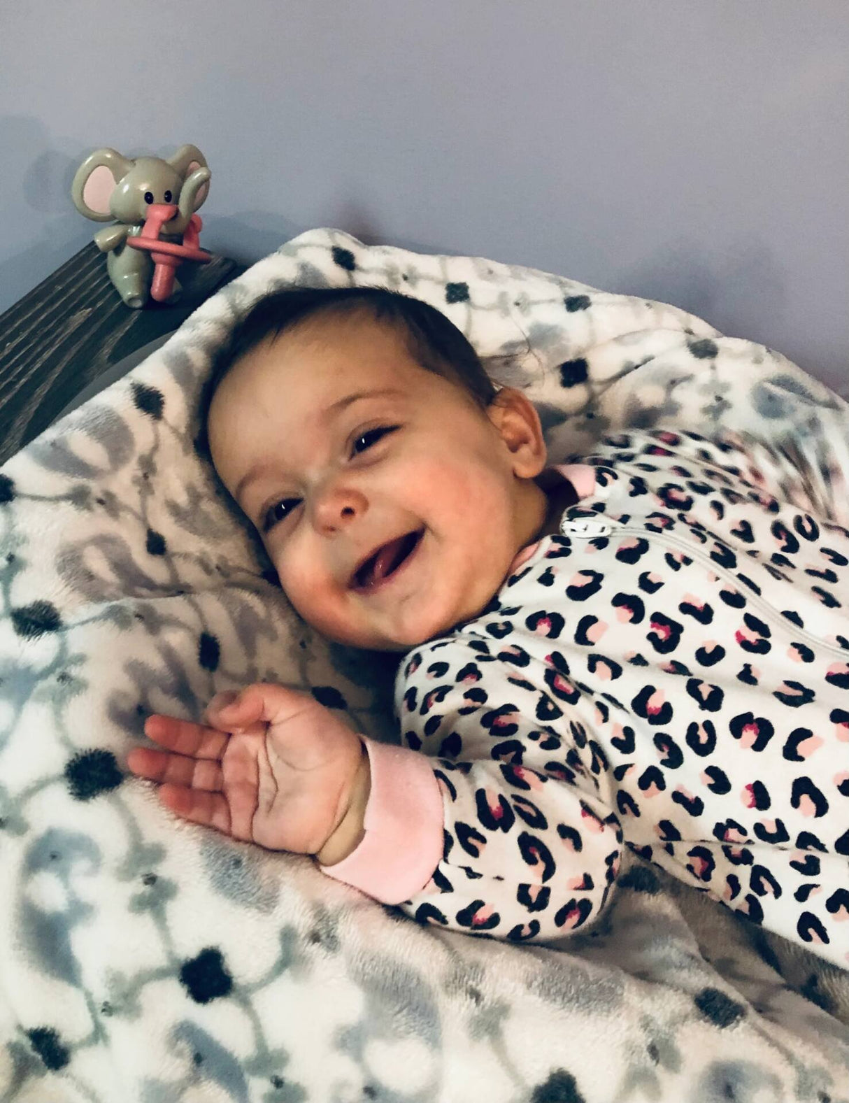 Melii - Stand για πιπίλες Ελεφαντάκι Grey Ears