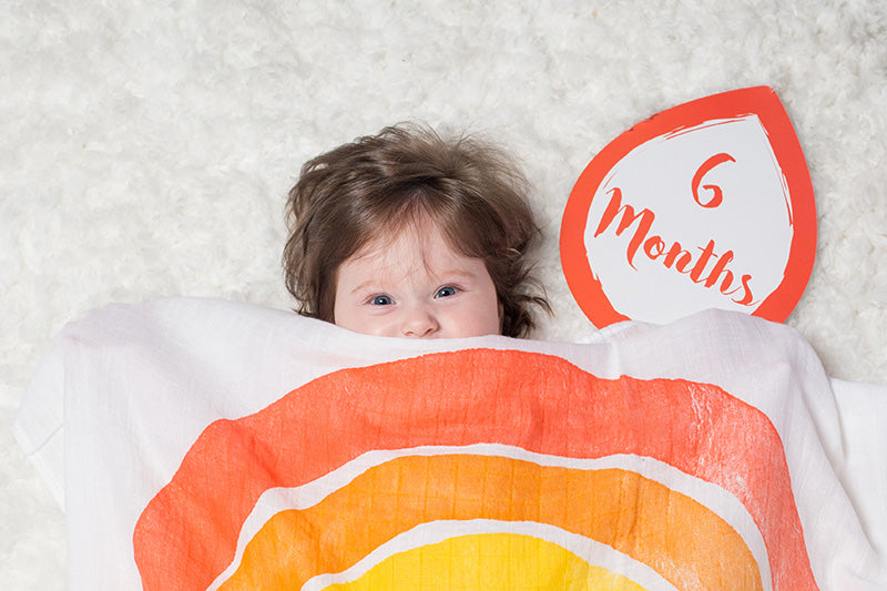 Lulujo Mουσελίνα Φωτογράφισης + Κάρτες – A Dream Come True