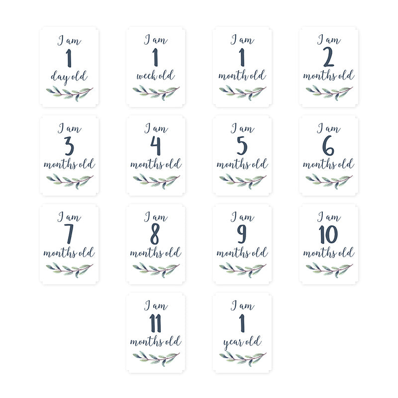 Mουσελίνα Φωτογράφισης + Κάρτες- Hello World