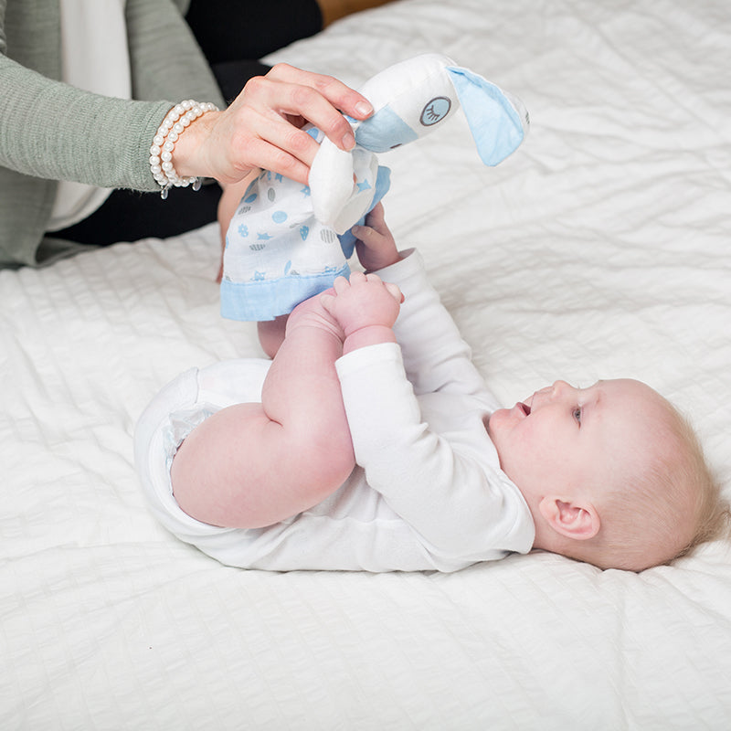 Lovies Νάνι Σκυλάκι