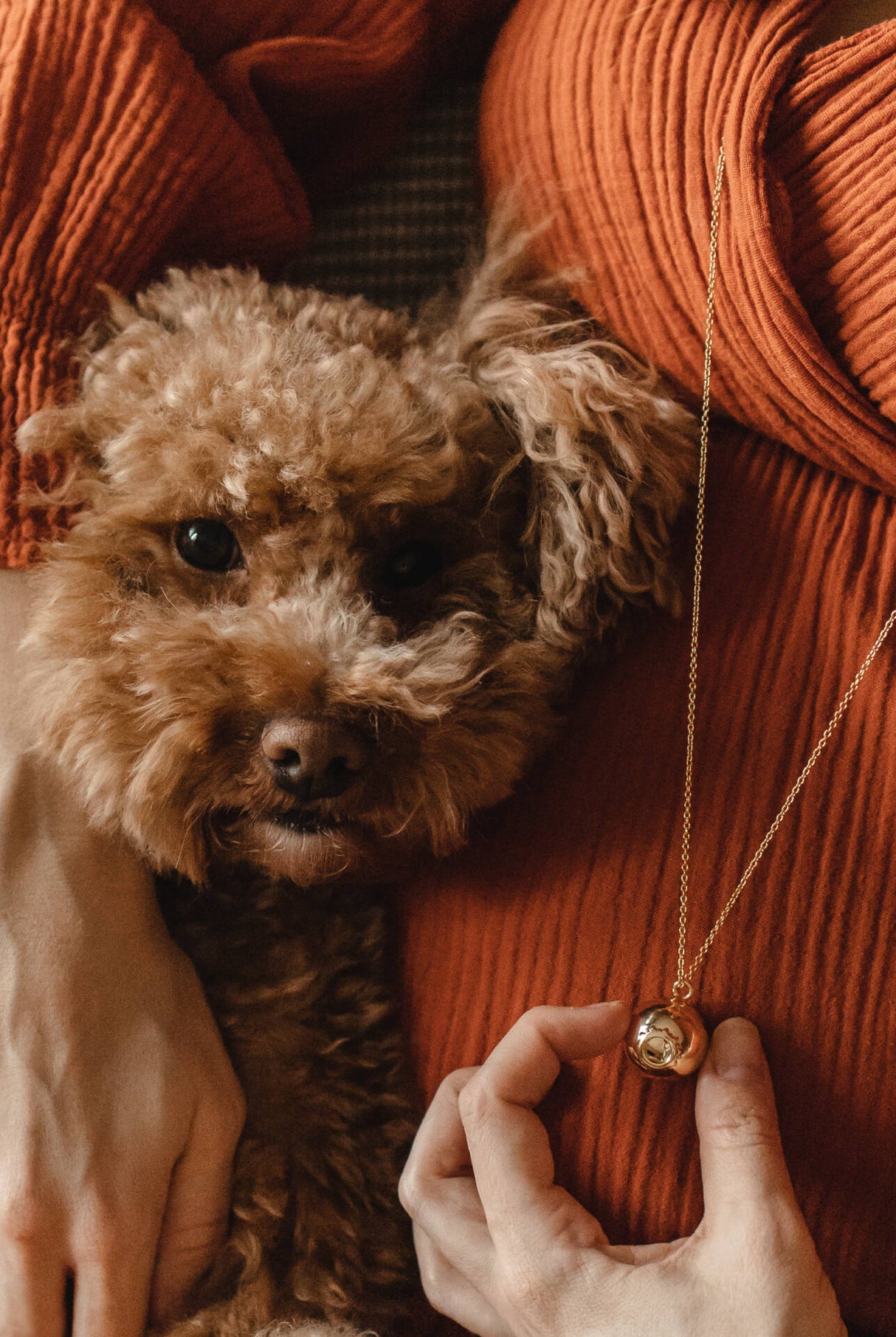 ProudMama Bola Willow Λωτός