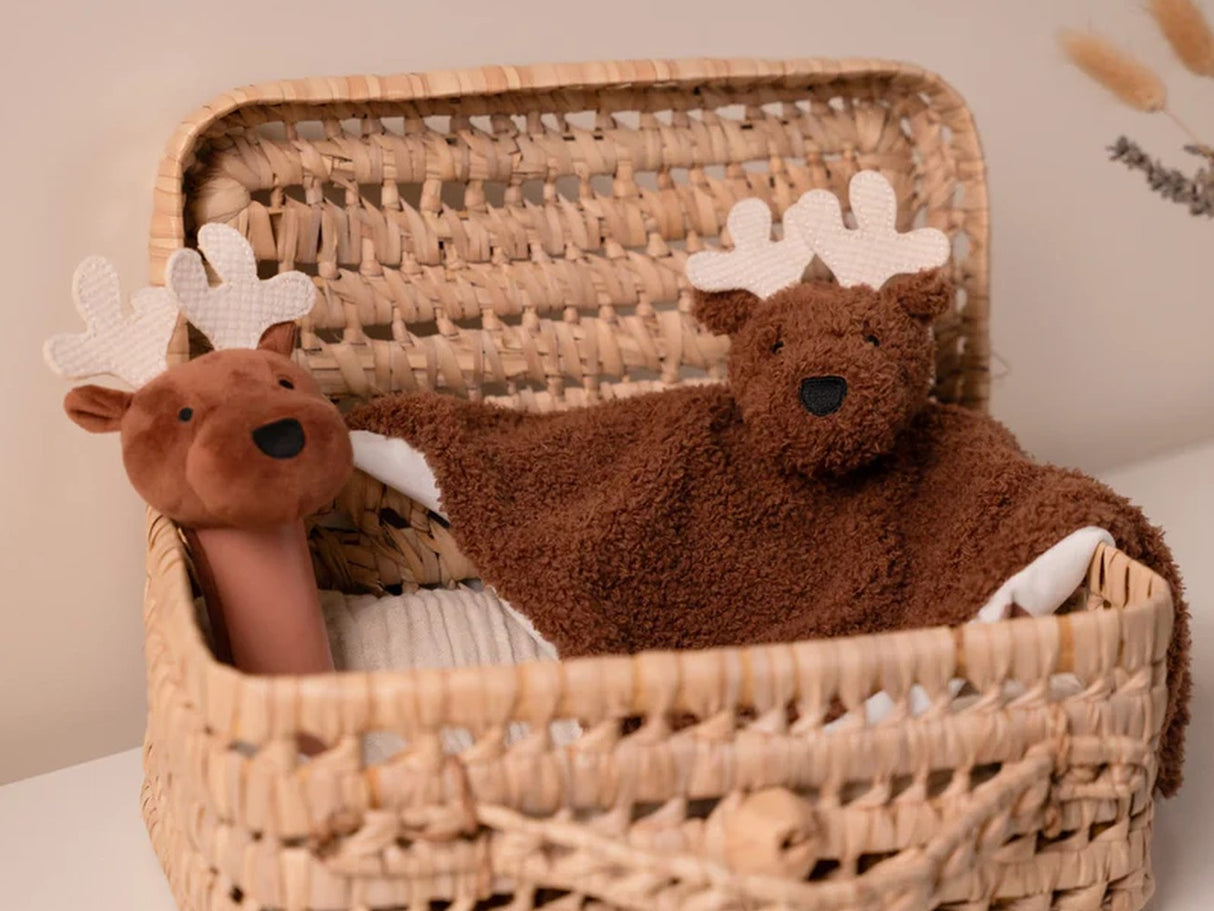 Baby Gift Box Forest