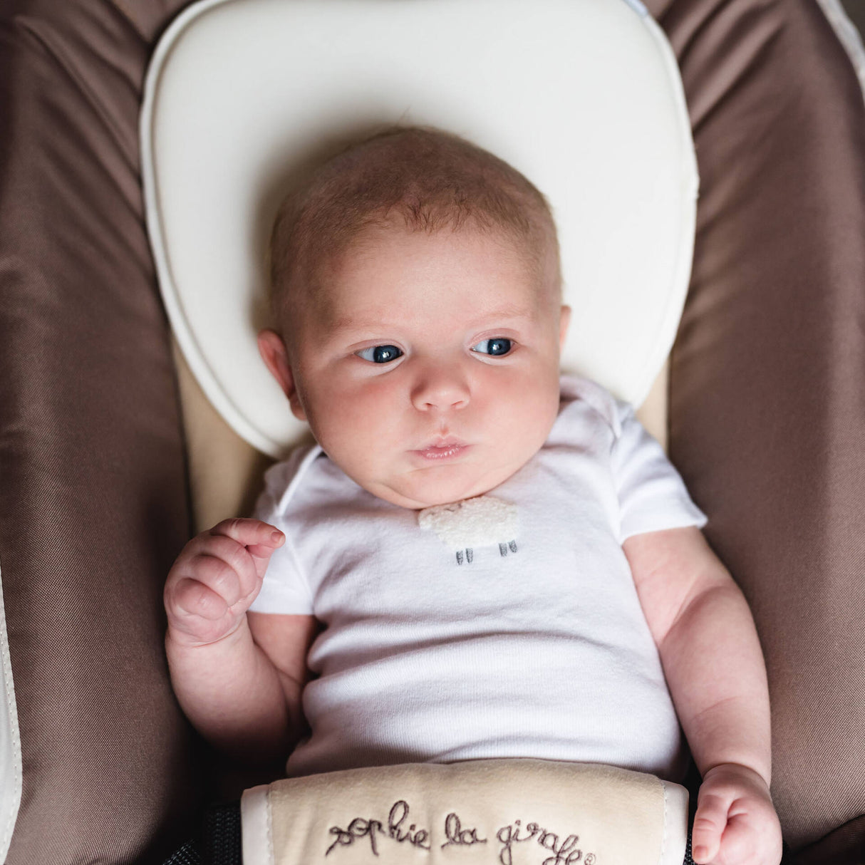 Bbluv Pilo - Εργονομικό Προσκέφαλο για μωρά