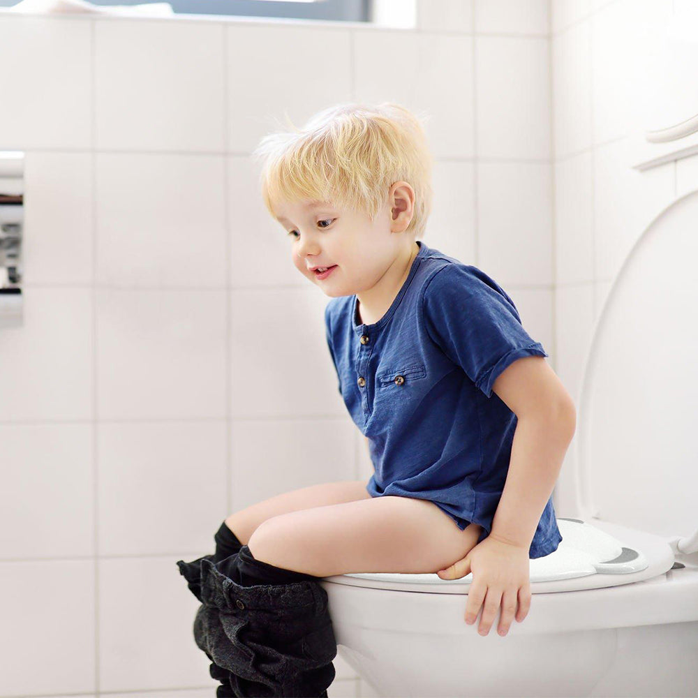 Πτυσσόμενο Κάθισμα Τουαλέτας-Αρκουδάκι