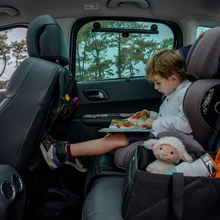 Ezi - Classic Organizer Αυτοκινήτου