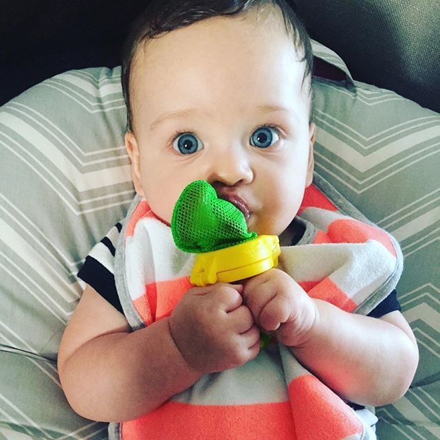 Fresh Food Feeder Deluxe - Διχτάκι φαγητού με καπάκι