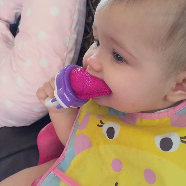 Fresh Food Feeder Deluxe - Διχτάκι φαγητού με καπάκι