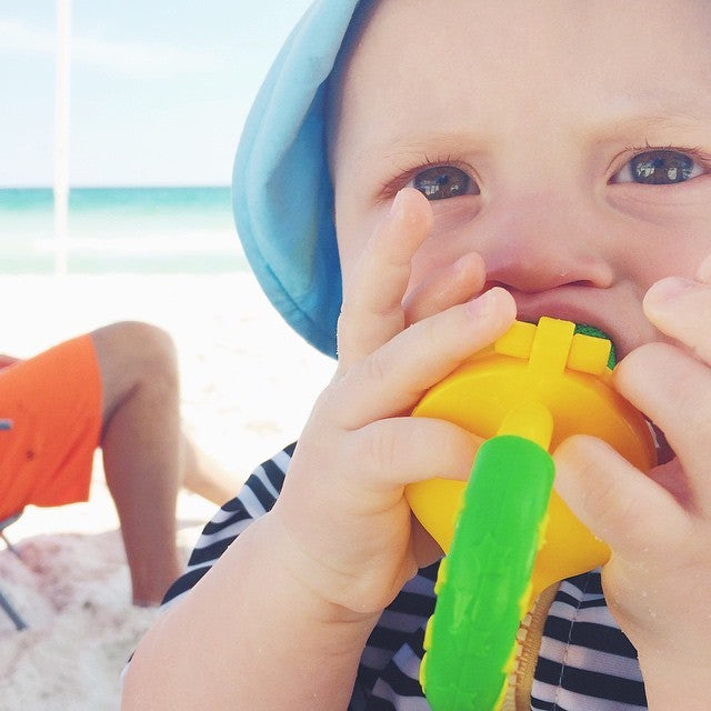 Fresh Food Feeder Deluxe - Διχτάκι φαγητού με καπάκι