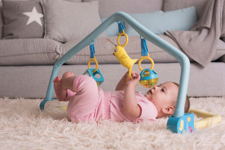 Pili Φορητό Γυμναστήριο