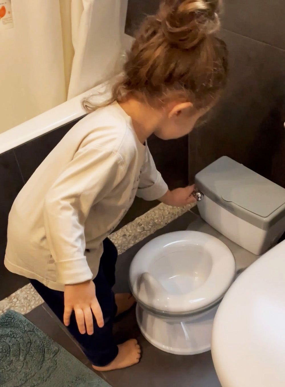 Potty Wise - Grey
