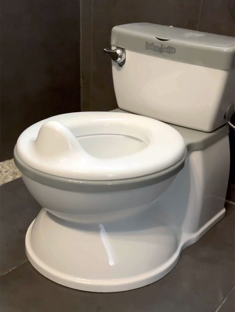 Potty Wise - Grey