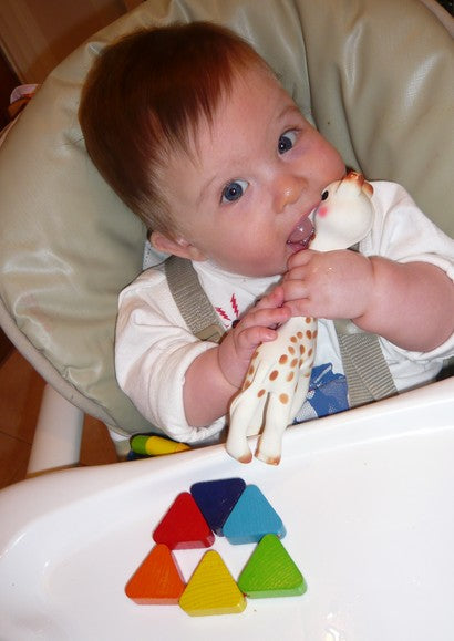 Sophie, La Girafe (Σόφι, η Καμηλοπάρδαλη)