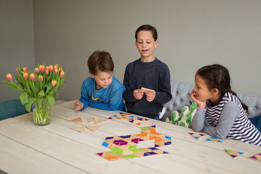 Bs Toys – Triangle Dominoes