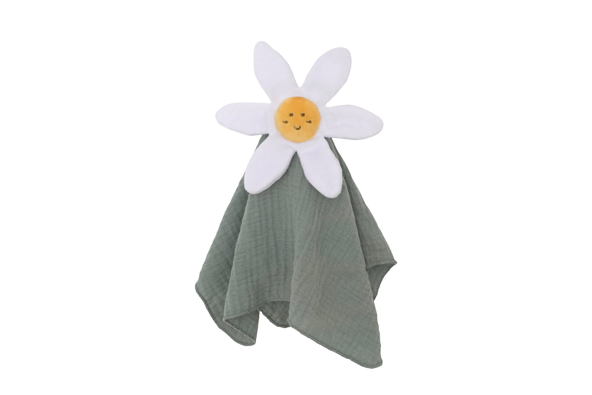 Birth gift set - Daisy Blue