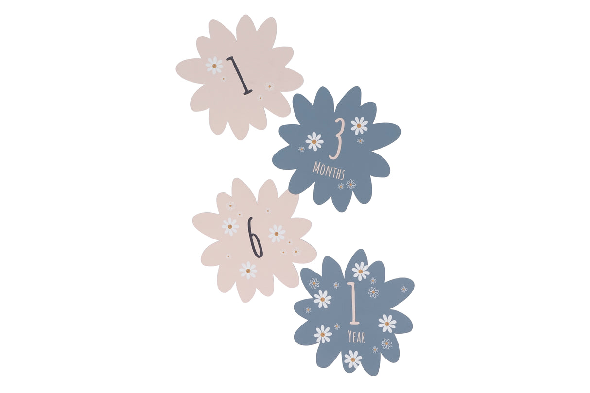 Birth gift set - Daisy Blue