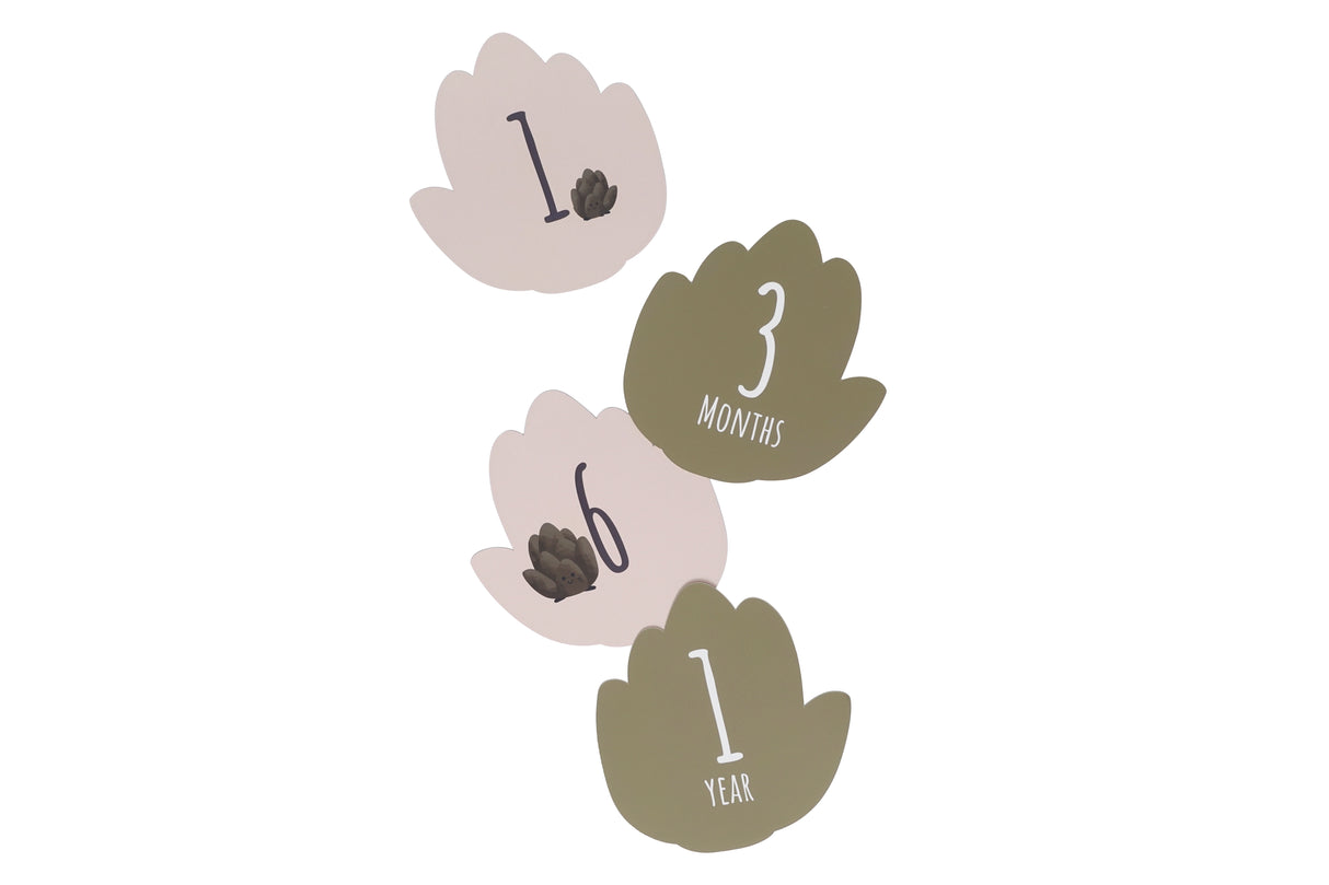 Birth Gift Set - Petit Artichaut