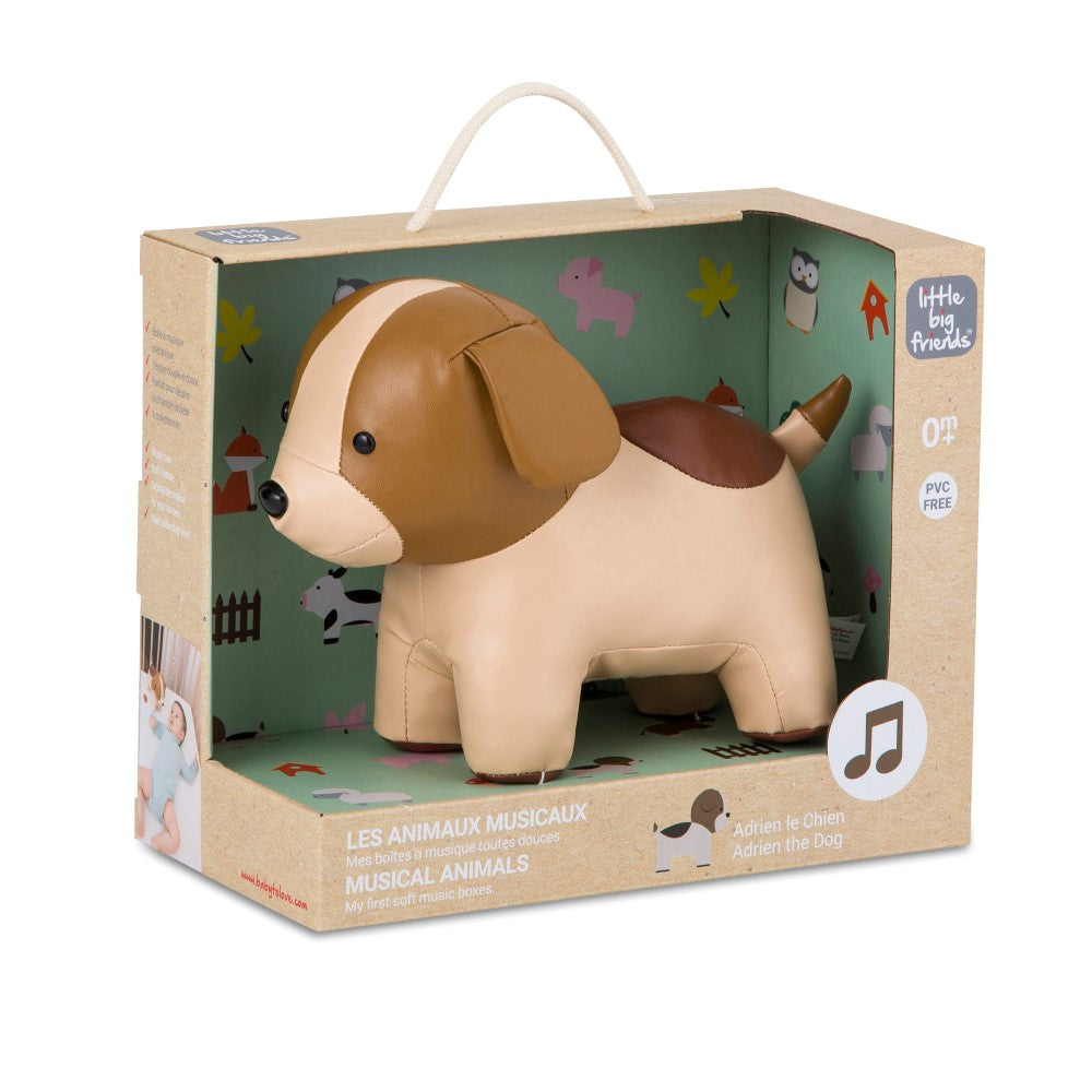 Musical Animals - Adrien the Dog