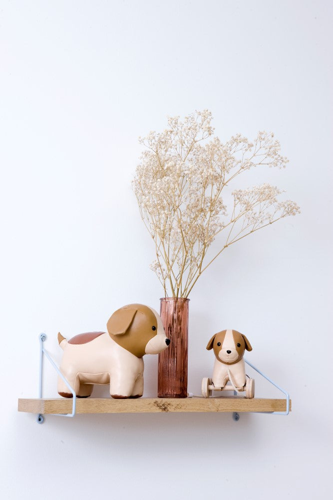 Musical Animals - Adrien the Dog