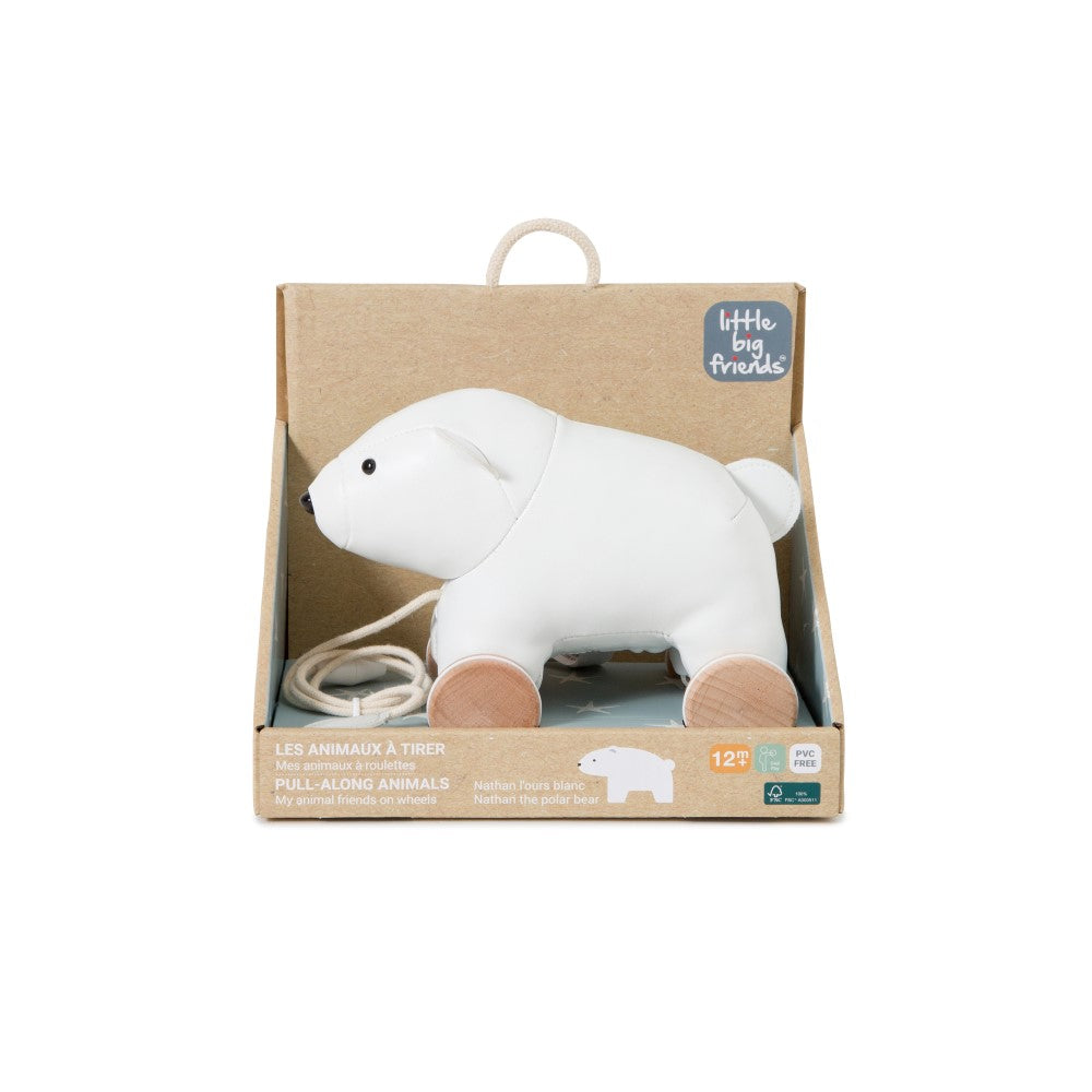 Nathan the pull along polar bear