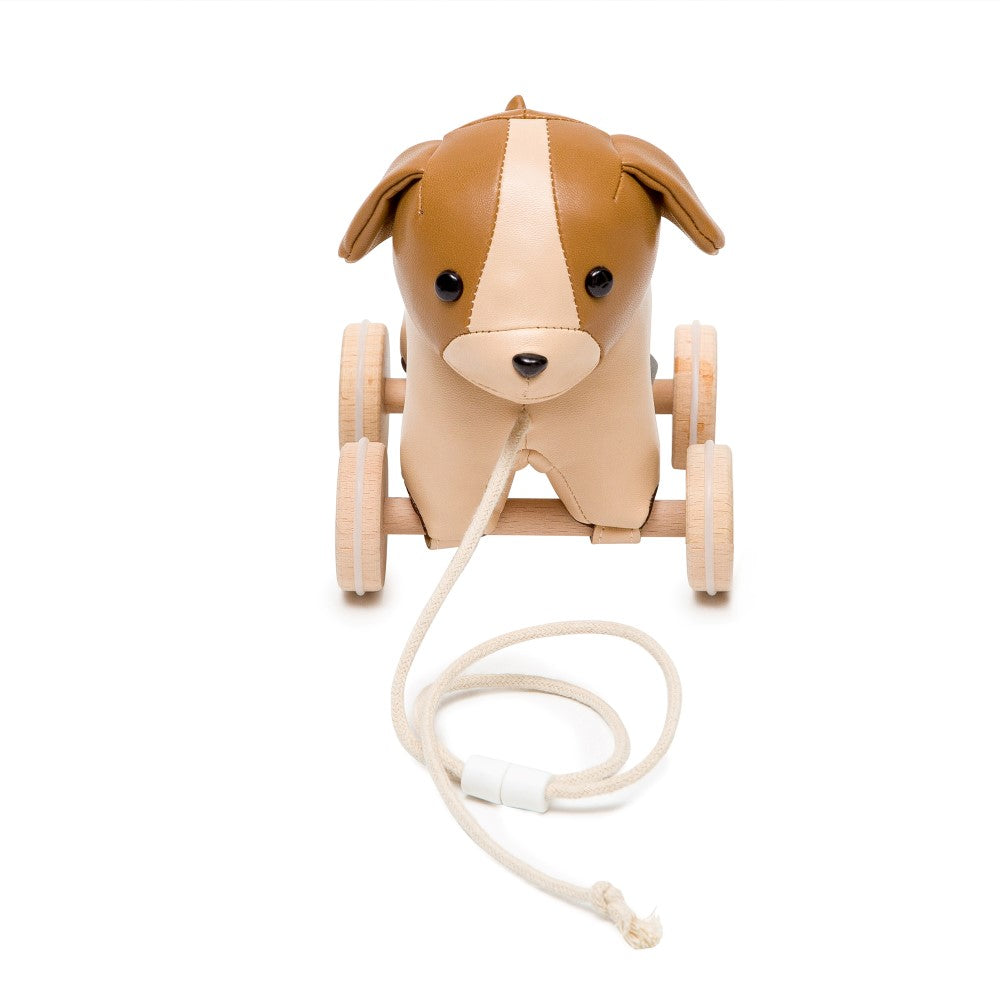 Adrien the pull along dog