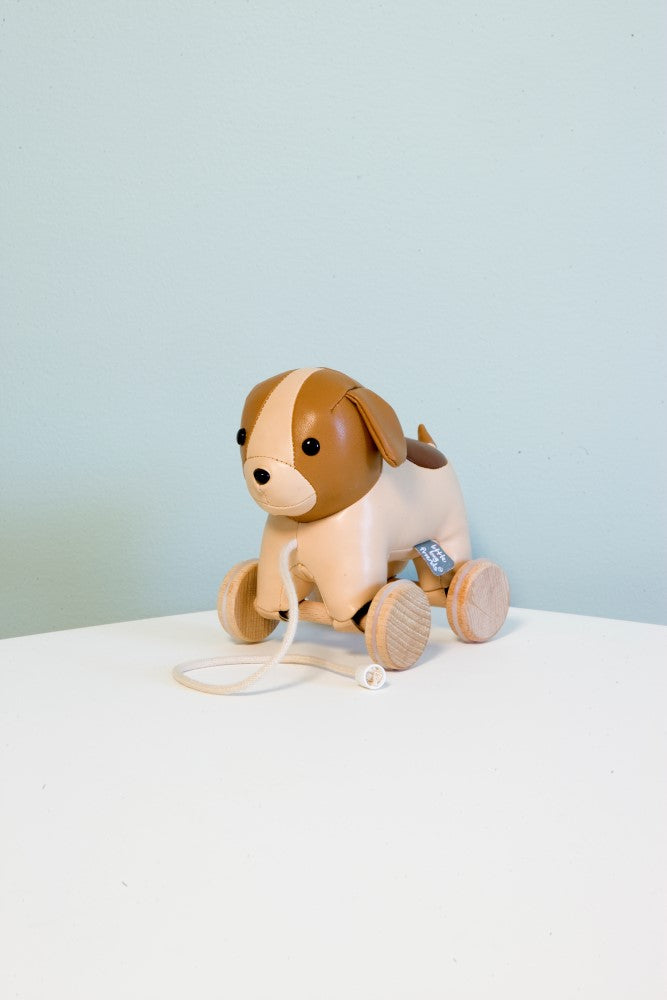 Adrien the pull along dog