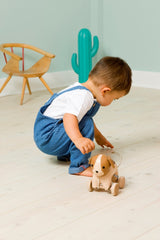 Adrien the pull along dog