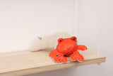 Musical Animals - Brigitte the Ermit Crab