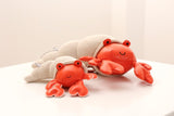Musical Animals - Brigitte the Ermit Crab