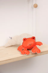 Musical Animals - Brigitte the Ermit Crab