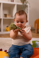 Βελούδινη Squeaker Κουδουνίστρα Dino