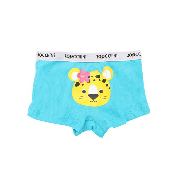 100% οργανικά βαμβακερά Hipsters 3 pc set -Flower Power